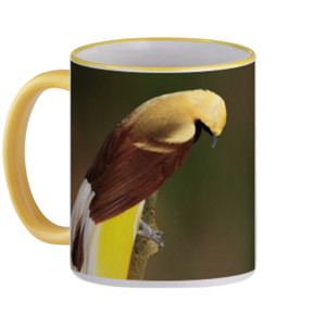 Mug Lesser Bird of Paradise
