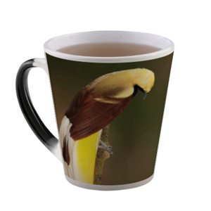 Mug Lesser Bird of Paradise
