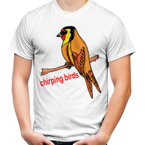 Kaos chirping birds