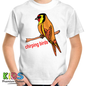 Kaos chirping birds