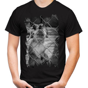 Kaos KAOS ANIMAL MONKEY