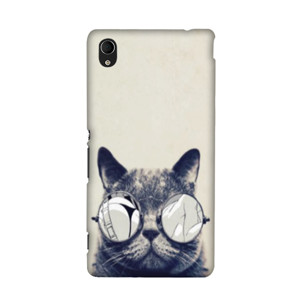 Kucing Gembul Casing HP
