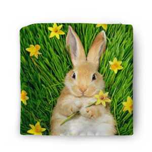 Sarung Bantal Rabbit Sleep