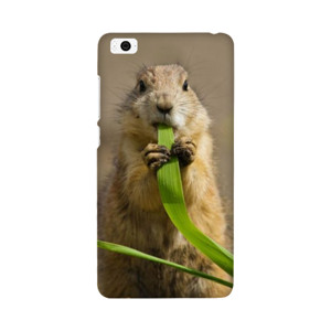 Hewan 1 Casing HP