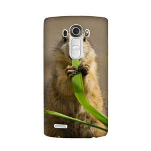 Hewan 1 Casing HP