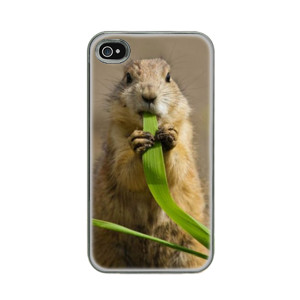 Hewan 1 Casing HP