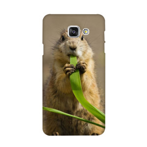 Hewan 1 Casing HP