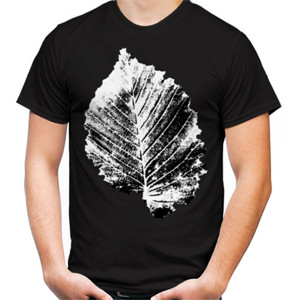 Kaos daun
