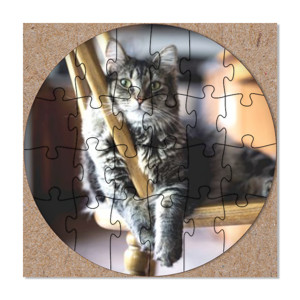 Puzzle Kucing