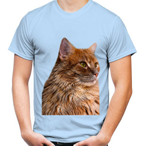 Kaos Princess Cat