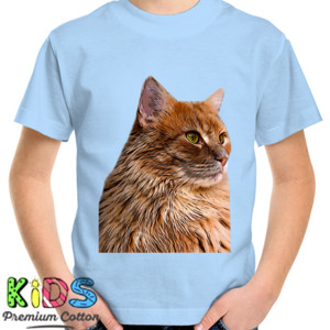 Kaos Princess Cat