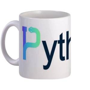 Mug python programming