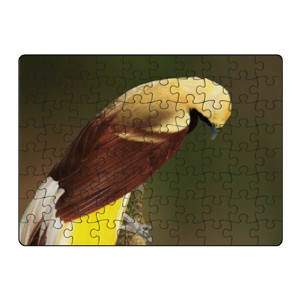 Puzzle Lesser Bird of Paradise
