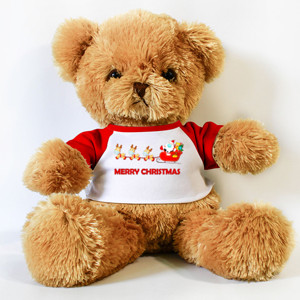 Boneka Beruang Boneka Natal merry quarantine Christmas