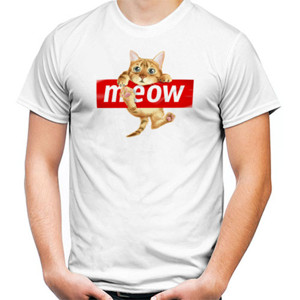 Kaos Meow