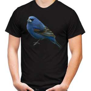 Kaos burung biru