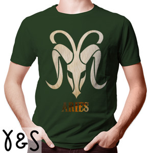 Kaos Aries