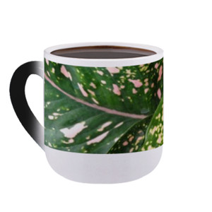 Mug Bunglon Tanaman Hijau Merah Muda