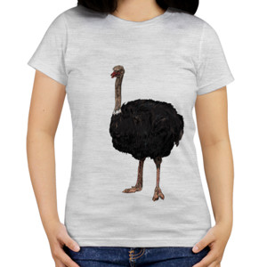 Kaos Bird Artworks 8