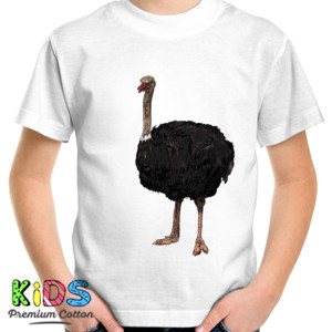 Kaos Bird Artworks 8