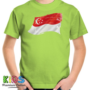 Kaos Grunge Singapore Flags