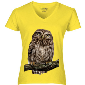 Kaos Burung OWL