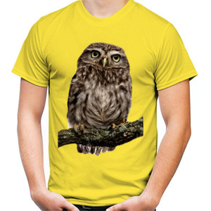 Kaos Burung OWL