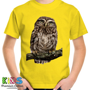 Kaos Burung OWL
