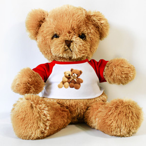 Boneka Beruang Bear on bear