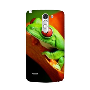 ANIMAL CASING Casing HP