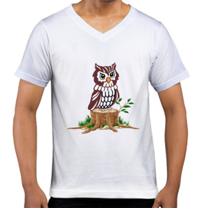 Kaos  Owl