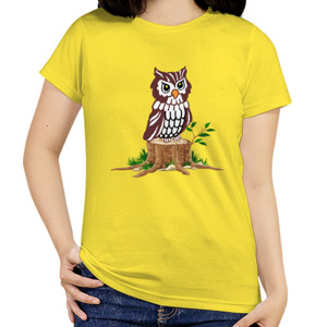 Kaos Owl