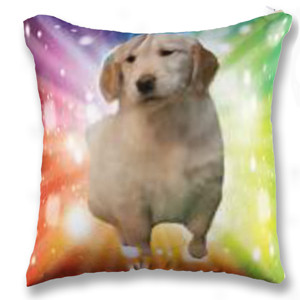 Bantal golden puppy rainbow