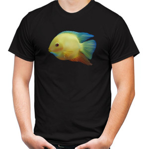 Kaos ikan