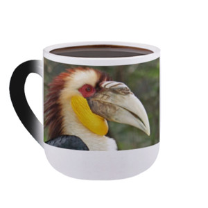 Mug Bunglon HORNBILL 