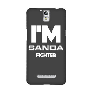 Sanda Fighter Casing HP