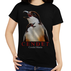 Kaos Burung Cendet/Pentet