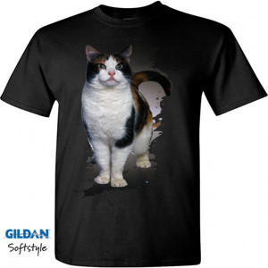 Kaos Cats T-Shirt Design