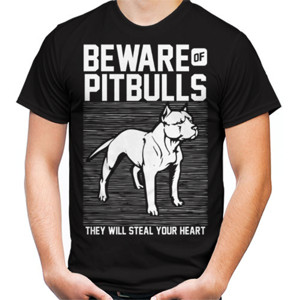 Kaos BEWARE OF PITBULL
