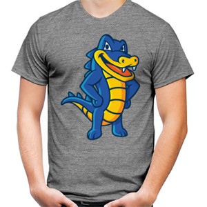 Kaos Hostgator 