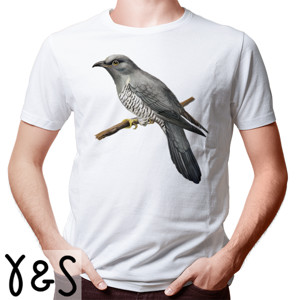 Kaos Bird Artworks 6