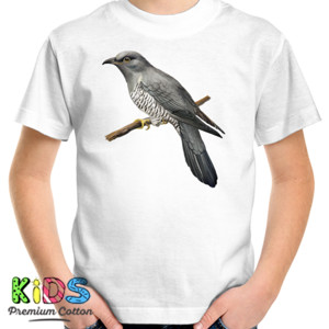 Kaos Bird Artworks 6