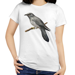 Kaos Bird Artworks 6
