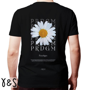 Kaos Paradigm Insight