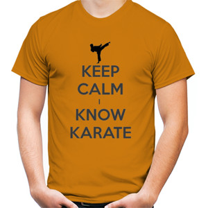 Kaos Keep calm i know karate