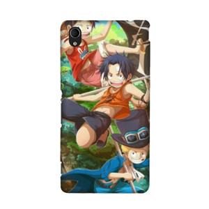 Three brothers Casing HP