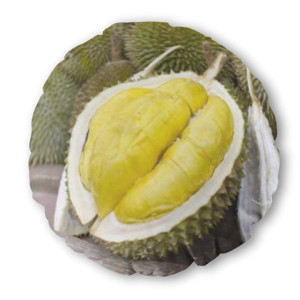 Bantal Bulat DURIAN MONTONG