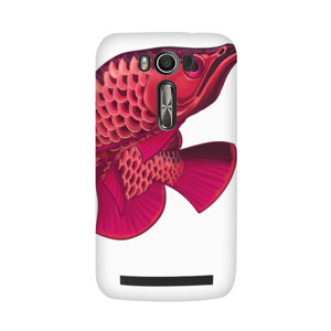 Arwana super red Casing HP