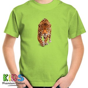 Kaos harimau