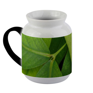 Mug Bunglon Tanaman Daun Hijau